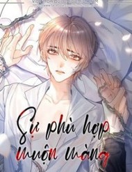 Sự Phù Hợp Muộn Màng đọc online
